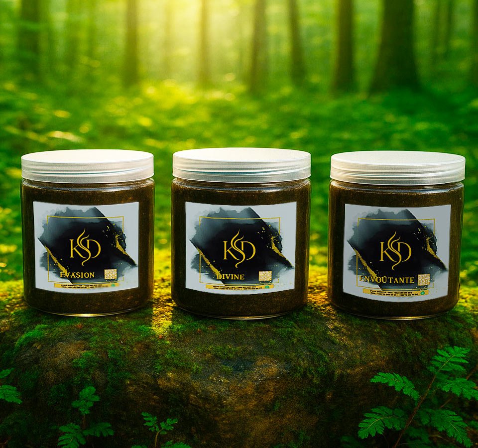 ENCENS-KSD-banner
